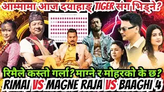हैट आज दयाहाङ् Tiger संग भिड्दै? रिमैले कस्तो गर्ला? माग्ने र मोहरको के छ? Rimai Vs Magne Vs Baaghi