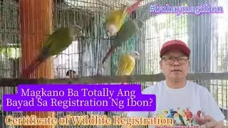 Magkano Ba Totally Ang Bayad Sa Registration Ng Ibon? (Certificate of Wildlife Registration) 