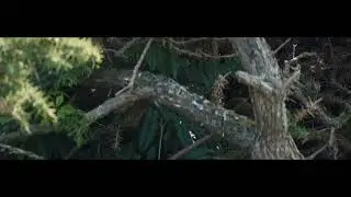 Wales England 2022 Moelfre Beach & Nature Anamorphic Sirui & Kova Footage