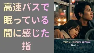 【シニア恋愛】《夜行・釜山行き高速バスで起きた出来事》老後の話｜オーディオブック｜実話エピソード｜老後の準備｜人生の話｜黄昏の恋｜黄昏エピソード｜シニアロマンス｜実話｜中年の恋｜黄昏物語｜黄昏の愛