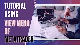 Tutorial Using VIEW Menu of METATRADER