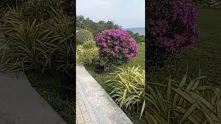 D'view holiday home kudat Sabah Malaysia welcome you 