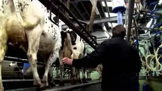 Our Arla Farmers - Angela Rhodes