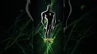 Toepick: Ben 10&rsquo;s Scariest and Most Underrated Alien!
