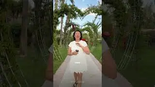 Отель в Белеке с отличным соотношением цена=качество🔥👇🏻