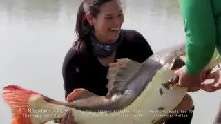 Thailand monster fishing | Red-tail Catfish