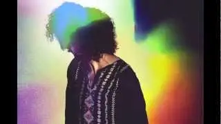 Vinyl Williams - Harmonious Change