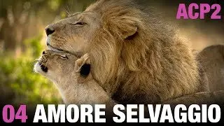 ANIMALI CHE PARLANO 2 – Amore selvaggio
