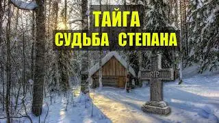 СУДЬБА СТЕПАНА ТАЁЖНЫЕ ИСТОРИИ РАССКАЗЫ ЛЕСНИКА 2026 СЕРИАЛ АУДИОКНИГА ДОМ в ЛЕСУ из ЖИЗНИ КНИГИ