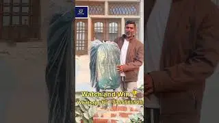 #freerewards