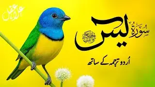 The Best Surah Yaseen ( Yasin ) With Urdu Translation | Infinite Holy Quran | EP059