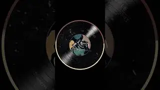 Vele - Low Profile | Whoyostro