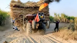 MF 385 🔥Tractor🚜 Powerful Stunts | Sugarcane Trolley Pulling Performance in 4K | Tractor King057