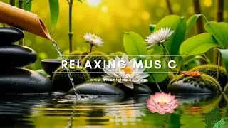 The Sound of Water and Calm Nature 🌿 Relaxation Music & Meditation Music&rdquo;