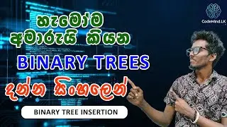 What is a Binary Tree | මොනවද  මේ Binary Trees කියන්නේ