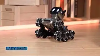 Robot Dog RC Stunt Car, Gesture Sensing & 2.4Ghz Remote Control Cars