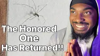 Our Glorious King Has Returned!! 🤩🔥 | Heylog - rat FULL REACTION!
