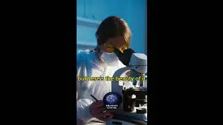 Unlocking the Secrets of Science: The Philosophy of Scientific Methodology