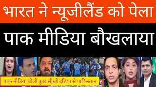 Tanveer Ahmad CRIYING  India win match newzealand | pak reacts | cricket reaction | cricket news