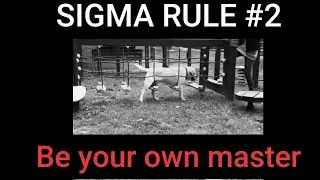 Dog Sigma Rule | Best of sigma rules | Sigma rules | Sigma rules compilation