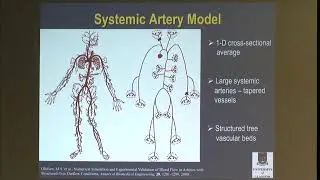 Prof. Nicholas Hill | Multiscale modelling of pressure and flow in the pulmonary circulation