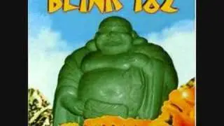 Blink 182 - The Family Next Door  Rare