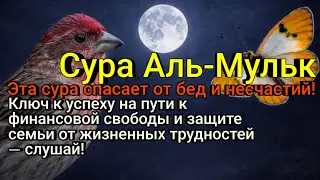 Ключ к успеху в этом мире и защита для развития твоего бизнеса — против банкротства!