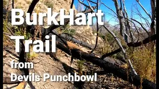 Ambient Hiking: Burkhart Trail - Devil's Punchbowl to Cruthers Creek 4K, No Music