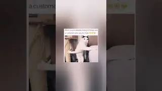 #funny