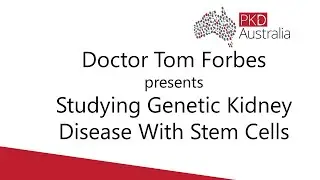 Dr Tom Forbes: Using stem cells to study genetic kidney disease