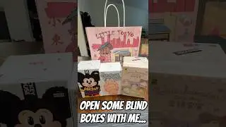 Sanrio, Pop Mart & Labubu Blind Box Unboxing! 🧸 #toyhaul