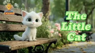 The Little Cat 🐾 | Fun & Cute Animal Song for Kids | My Little Champs