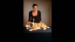 Dog Thinks It&rsquo;s a Real Cake&hellip; Wait for the Reaction! 😂 #dog #Cake #Prank