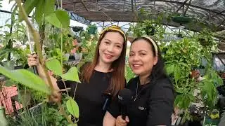 Plant Chika with @ThessDelaCruz