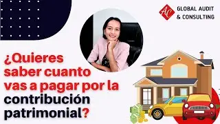 Declaracion de la Contribución al Patrimonio