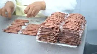 JAMEL FISH - Anchovies Processing and Export Company - TUNISIA