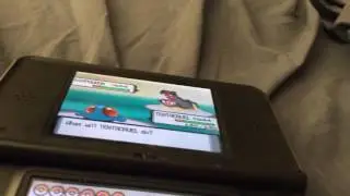 Why!!!!!!!!!!! Shiny hippowdon in elite 4