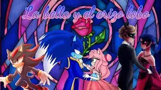 La bella y el erizo lobo. Parte 9. Un gran tipo Mephiles.