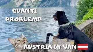Viaggio in Austria: qualche problema con gli animali e in camper