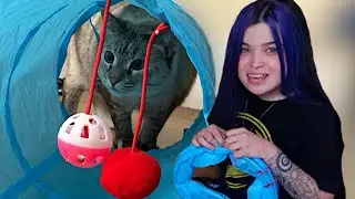 spoiling my feline child again (cat toy haul)