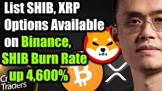 Japanese Crypto Exchange to List SHIB, XRP Options Available on Binance, SHIB Burn Rate up 4,600%