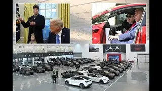 Tesla's Affordable Model Y Delayed: What's Behind the Production Snag?
