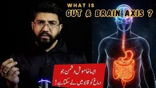 Gut & Brain Axis? | Signs of Gut Damage You Ignore Daily❗ | Dr Adnan