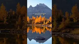 Banff in the fall 🍂 #banff #canada #hikingadventures #fall #adventuretravel