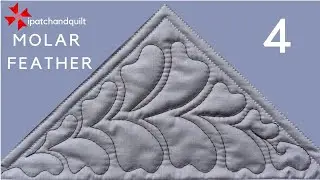 Molar Feathers in a Triangle - 4