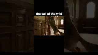 the call of the wild       short the call of the wild story  movie explained in hindi  shorts  short