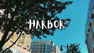 Lamonte Bombay - &ldquo;Harbor&rdquo; (Official Video) Dir. Bombay Fontaine x Jesus Jr