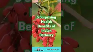 5 Surprising Health Benefits of Indian Barberry | #carecrash