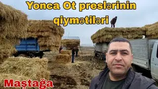 Yonca ot preslərinin qiymətiləri #mubarizemintv #yonca #ot #mastagamalbazari #mastagaqoyunbazari