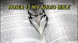 HOSEA 12 NIV AUDIO BIBLE(with text)